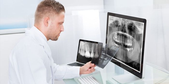Dentist checking x-rays